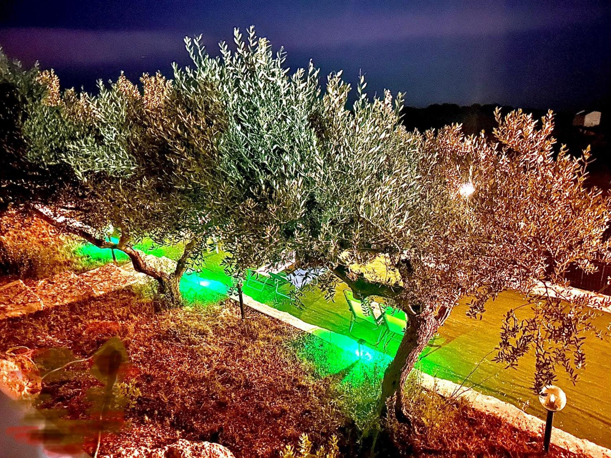 La Collina Sul Mare Bed & Breakfast Palma di Montechiaro Exterior photo